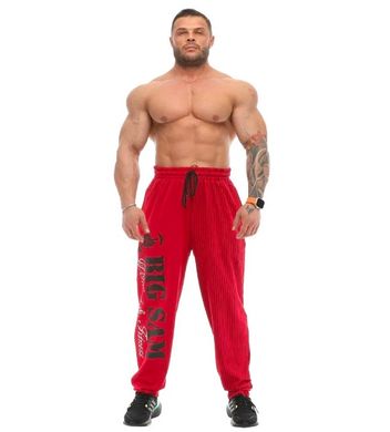 Big Sam, Штаны спортивные зауженные (Workout Body Pants 1172) Красный ( S )