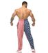Big Sam, Штаны спортивные Men's Loose Fit American Flag Sweatpants PNT1381-AMERICAN ( S )