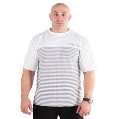 Big Sam, Футболка-Размахайка(Bodybuilding Mens Towel Gym Rag Top ) Серый\Белый ( L )