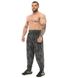 Big Sam, Штаны спортивные зауженные (Men's Towel Loose Fit Sweatpants PNT1305) Серый ( M )