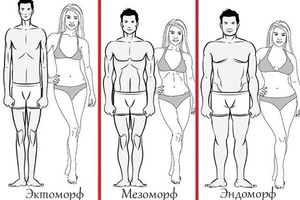 Как определить свой тип телосложения?