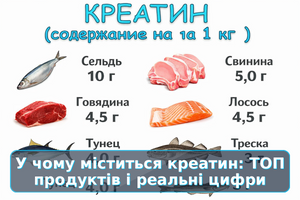 У чому міститься креатин?