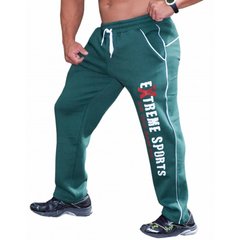 Big Sam, Штани спортивні завужені теплі Winter Body Pants Green 966