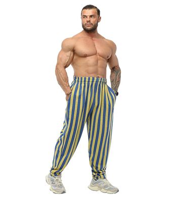 Big Sam, Штаны спортивные зауженные Men's Striped Loose Fit Ukrainian Flag Sweatpants PNT1381 Синие\Желтые ( S )