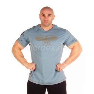 LegalPower, Футболка для бодибилдинга Eagle, голубая (XL)