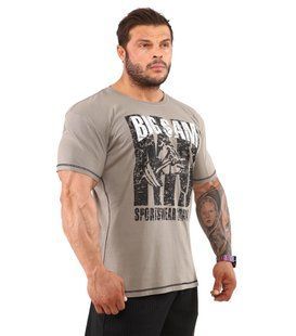 Big Sam, Футболка (Bodybuilding Mens T-Shirt BS 2843) Серый ( XXL )