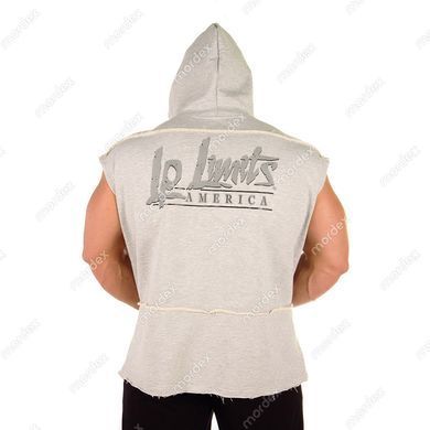 LegalPower, Футболка Hoodie Boston сіра, Сірий