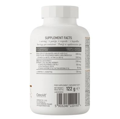 OstroVit L-Carnitine + Green Tea + CLA &mdash; 90 капсул