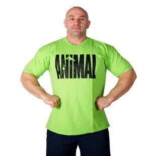 Universal Nutrition, Футболка (MD5593-12) для бодибилдинга Animal Iron Iconic, Зеленая ( XXXL )