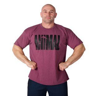Universal Nutrition, Футболка (MD5593-13) для бодибилдинга Animal Iron Iconic, Purple ( XXXL )