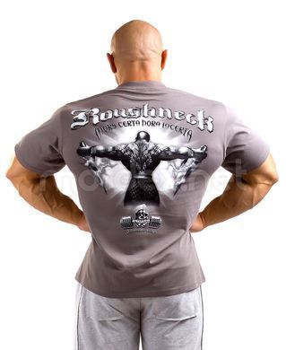 Silberrucken, Футболка MR18 Roughneck Mors Certa сіра ( M )
