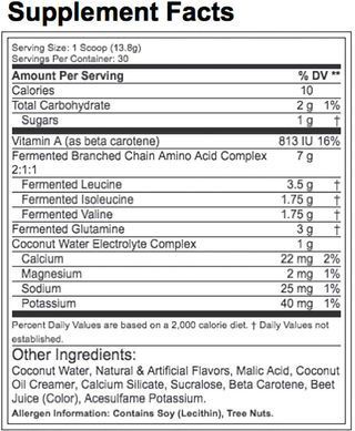 Labrada Nutrition, Бцаа BCAA Power , ( 420 грамм ) Апельсин-манго