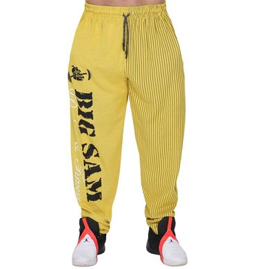 Big Sam, Штани спортивні завужені Workout Body Pants 1173 Жовті  ( M )