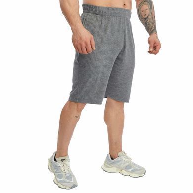 Big Sam, Шорты спортивные для бодибилдинга 1521-Anthracite Серые ( XL )