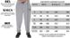 Big Sam, Штани спортивні завужені Body Pants Gray 1179 Сірі M