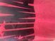 Universal Nutrition, Футболка (MD5593-14) для бодибилдинга Animal Iron Iconic, Red\Black ( L )