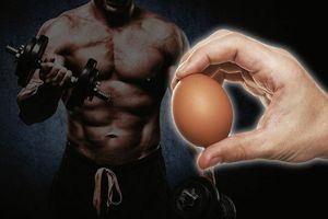 Яєчний білок для бодібілдерів