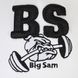 Big Sam, Бейсболка Beast 701, белая