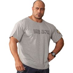 Big Sam, Футболка-Размахайка Gray Training T-Shirt Rag-Top 3154 Серая M