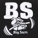 Big Sam, Бейсболка Beast 700, черная