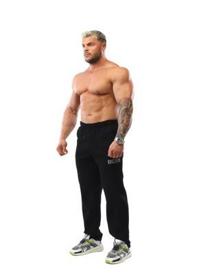 Big Sam, Штаны спортивные теплые Mens Winter Sweatpants (BGSM PNT1354) Черные ( L )