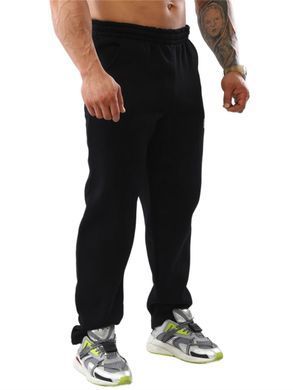 Big Sam, Штаны спортивные теплые Mens Winter Sweatpants (BGSM PNT1354) Черные ( L )