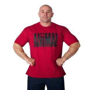 Universal Nutrition, Футболка (MD5593-16) для бодибилдинга Animal Iron Iconic, Dark Red ( XL )