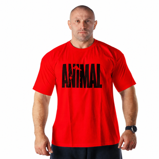 Universal Nutrition, Футболка для бодибилдинга (Animal Iron Iconic ), красная ( L )