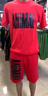 Universal Nutrition, Шорти Чоловічі Animal Shorts (MD7528-2) Red ( S\M )