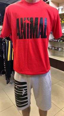 Universal Nutrition, Шорти Чоловічі Animal Shorts (MD7528-2) Red ( S\M )