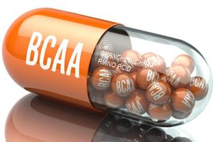 Спортивная добавка bcaa - какие бывают виды аминокислот BCAA