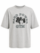 Hard Power Gym Gorilla Grey &mdash; мужская спортивная футболка серая, XXL
