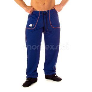 Big Sam, Штани спортивні рівні 1098 Trainingshose Bodyhose Bodybuilding, Синій, S