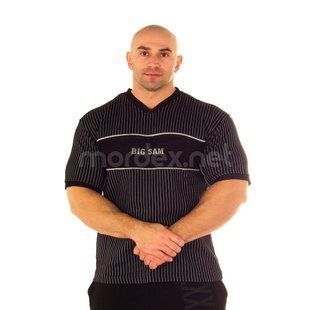 Big Sam, Футболка для бодибилдинга 2572 T-SHIRT ( L )