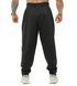 Big Sam чоловічі спортивні штани Loose Fit Textured BGSM PNT1379, чорні (S)