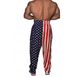 Big Sam, Штаны спортивные American Flag Baggy Track Body Pants 827 XL