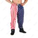 Big Sam, Штаны спортивные American Flag Baggy Track Body Pants 827 M