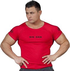 Big Sam, Футболка Стрейч (T-Shirt Stretch Shirt Bodybuilding 2571) Красная ( L )