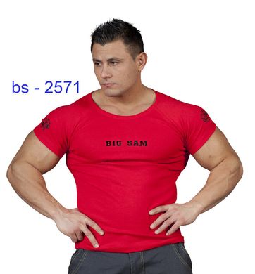 Big Sam, Футболка Стрейч (T-Shirt Stretch Shirt Bodybuilding 2571) Красная ( L )
