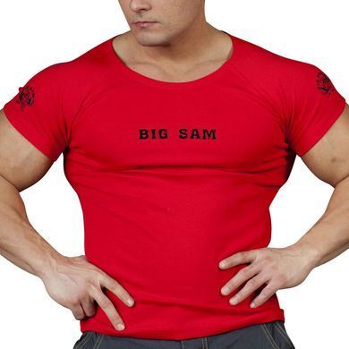 Big Sam, Футболка Стрейч (T-Shirt Stretch Shirt Bodybuilding 2571) Красная ( L )