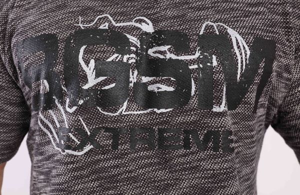 Big Sam, Футболка-Размахайка для бодібілдингу 3312 T-SHIRT Сіра ( L )