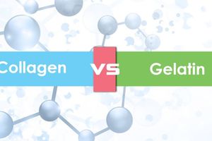 Колаген і желатин: у чому різниця й що краще?