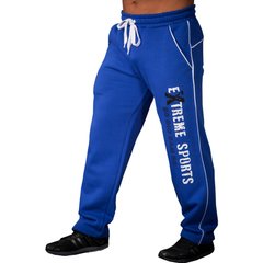 Big Sam, Штаны спортивные зауженные теплые 878 Winter Body Pants, Синий