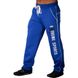 Big Sam, Штани спортивні завужені теплі 878 Winter Body Pants, Синій