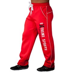 Big Sam, Штаны спортивные зауженные теплые 857 Winter Body Pants, Красный