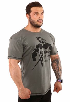 Big Sam, Футболка (Bodybuilding Mens T-Shirt BS 2853) Хаки ( XL )